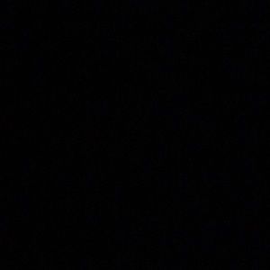 Meet your Posher, Shelby